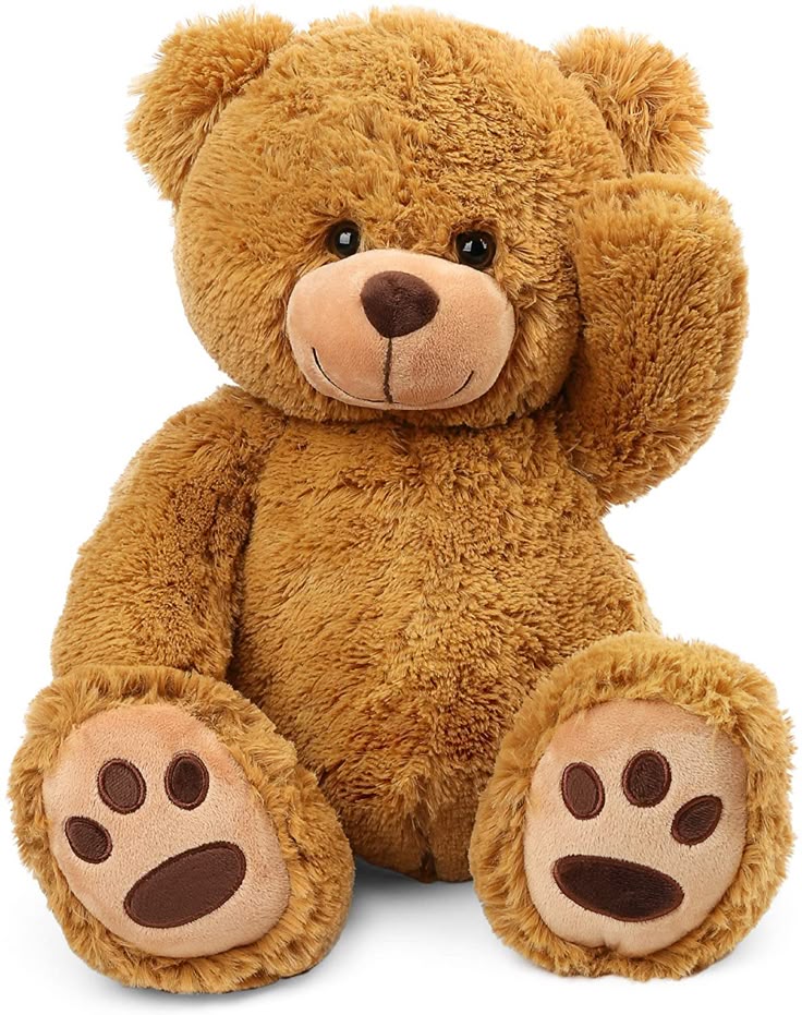 TEDDY